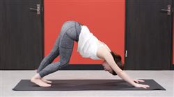 ���[���{�f�B �h�N�^�[�X�g���b�`