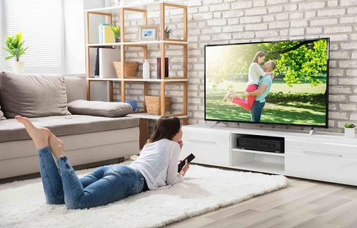 ���[���{�f�B �e���r�@